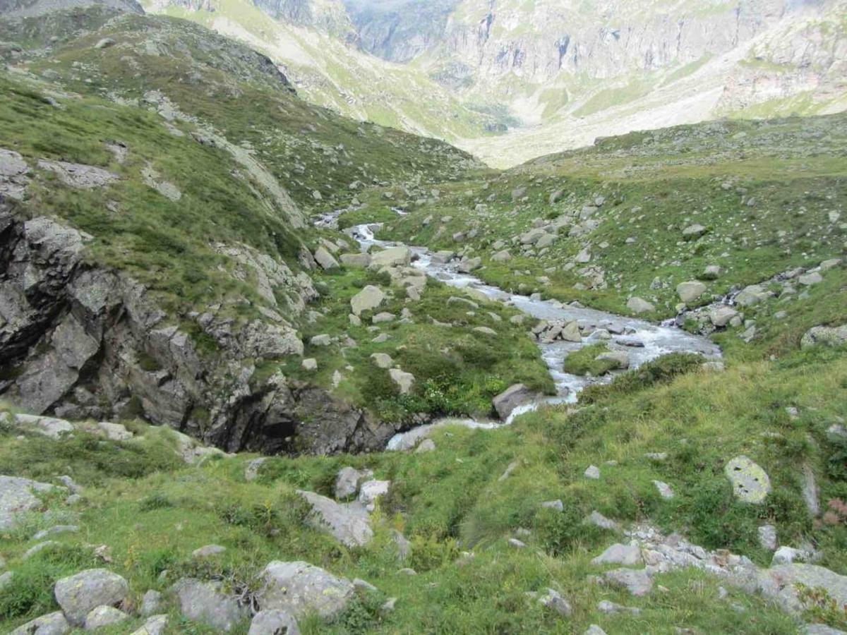 Bilocale A Due Passi Dal Gran Paradiso Locana المظهر الخارجي الصورة