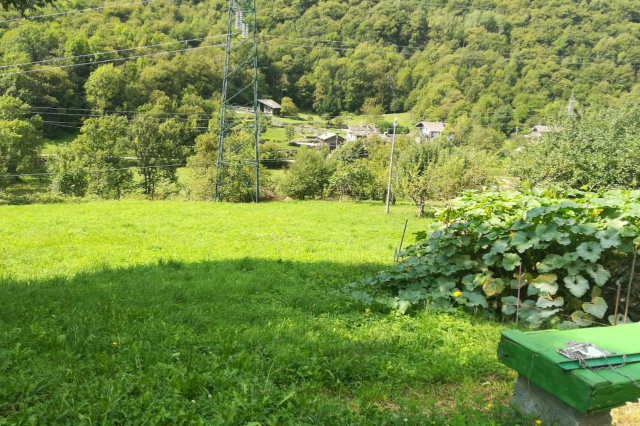 Bilocale A Due Passi Dal Gran Paradiso Locana المظهر الخارجي الصورة